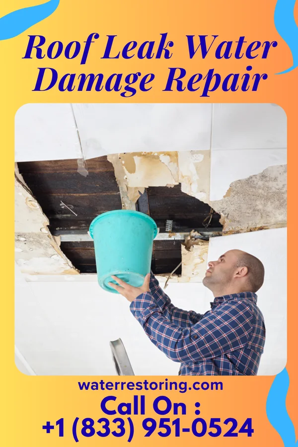 Roof Leak Water Damage Repair in Ewing, KY