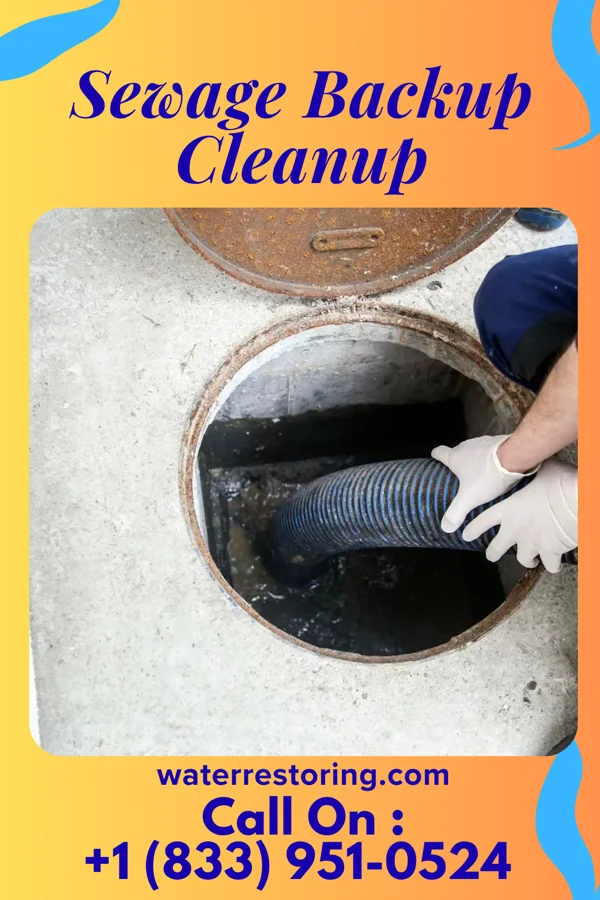 Sewage Backup Cleanup in Ewing, KY