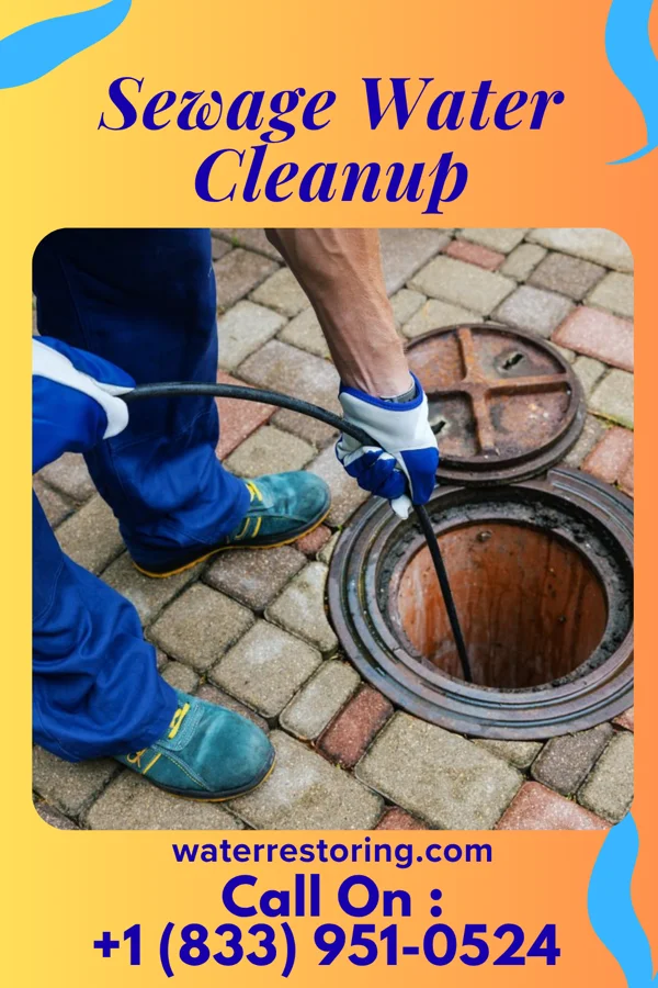 Sewage Water Cleanup in Ewing, KY