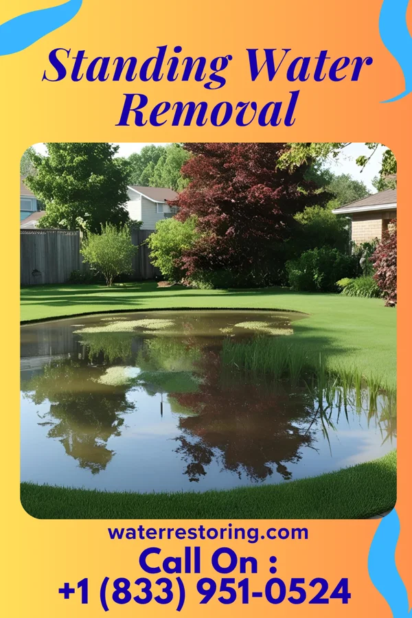 Standing Water Removal in Ewing, KY